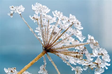 節氣立冬|今天立冬節氣是開運的好時機！民俗專家傳授6大習俗。